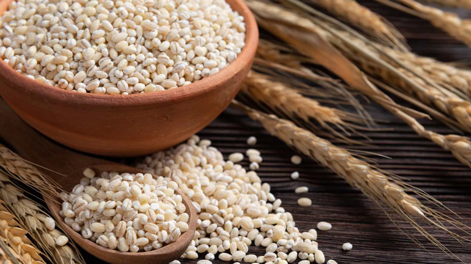 Barley-cover
